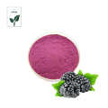 Black Raspberry Extract Powder